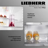 Liebherr Rsdci 1620-20 001 Plus