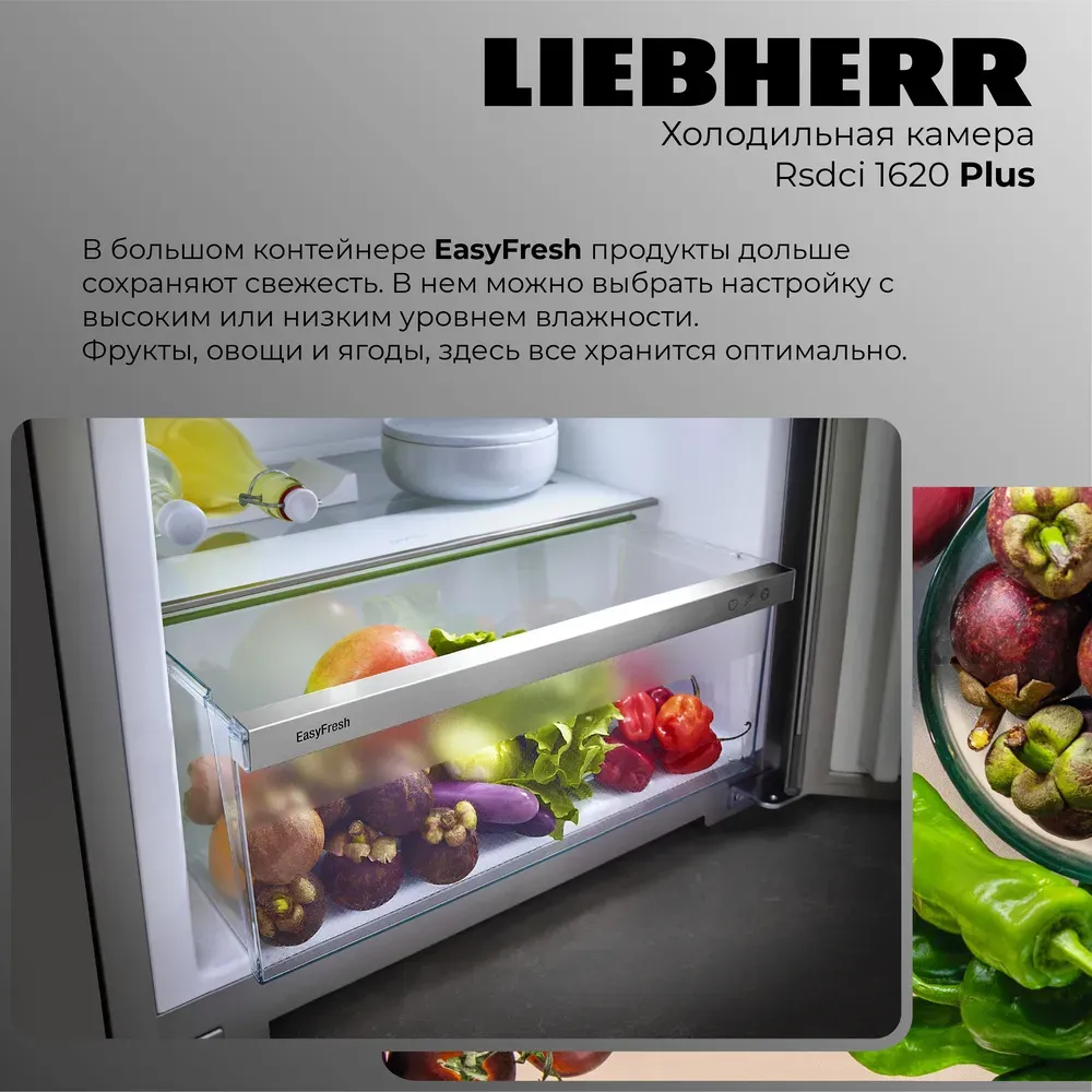 Liebherr Rsdci 1620-20 001 Plus