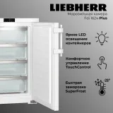 Liebherr Fdi 1624-20 001 Plus