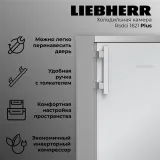 Liebherr Rsdci 1621-20 001 Plus